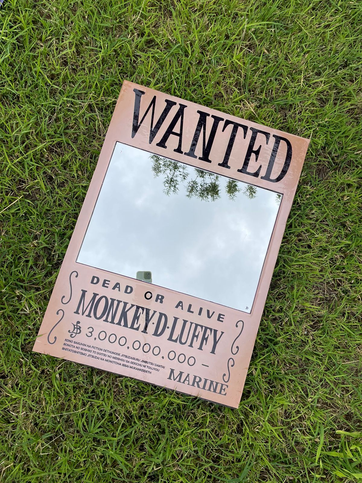 Wanted Mirror — M-raya